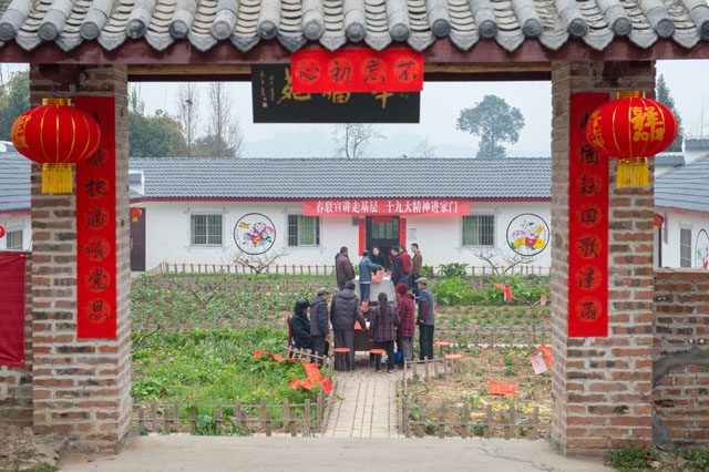 CTD_6203.jpg CTD_6203.jpg