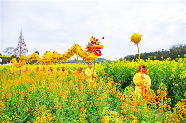 油菜花2.jpg 油菜花2.jpg